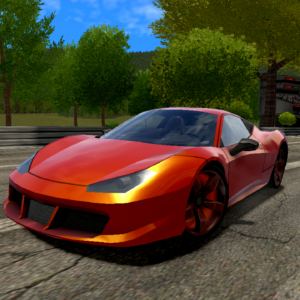 Speed Racing Pro 4